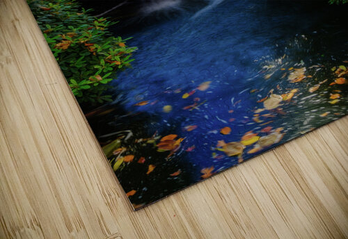 maple falls johnny boyd Nature Imaging puzzle