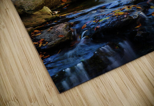 maple falls v johnny boyd Nature Imaging puzzle