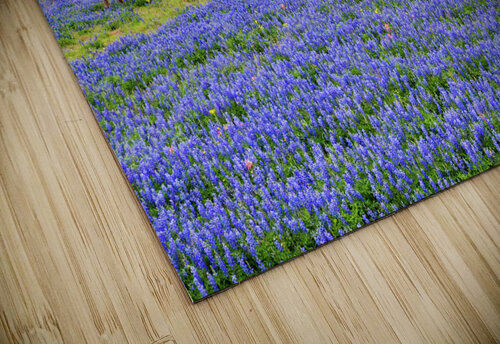 spring herd johnny boyd Nature Imaging puzzle