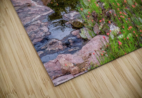 spring delight johnny boyd Nature Imaging puzzle