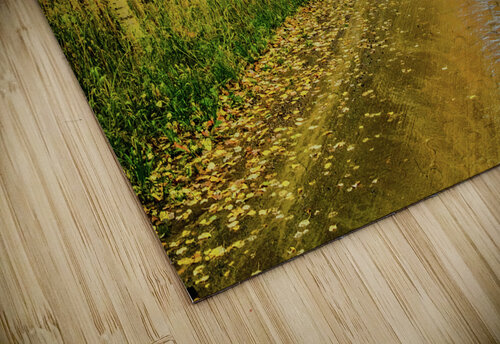 road to oz johnny boyd Nature Imaging puzzle