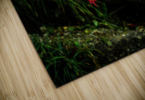 red maple limb johnny boyd Nature Imaging puzzle