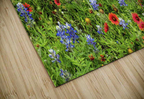 spring classic johnny boyd Nature Imaging puzzle