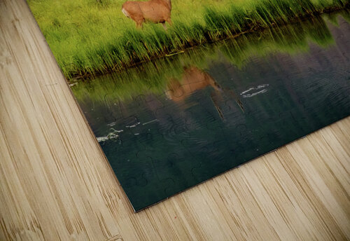 reflection buck johnny boyd Nature Imaging puzzle
