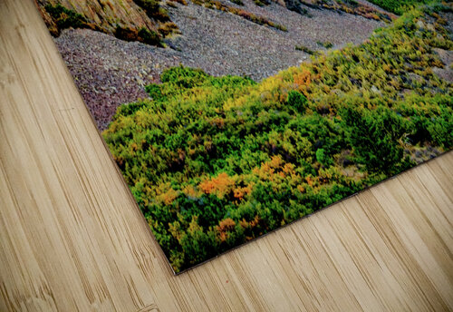 the wall johnny boyd Nature Imaging puzzle