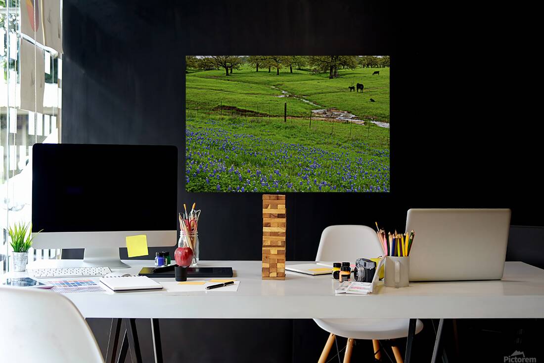 a spring graze johnny boyd Reproduction