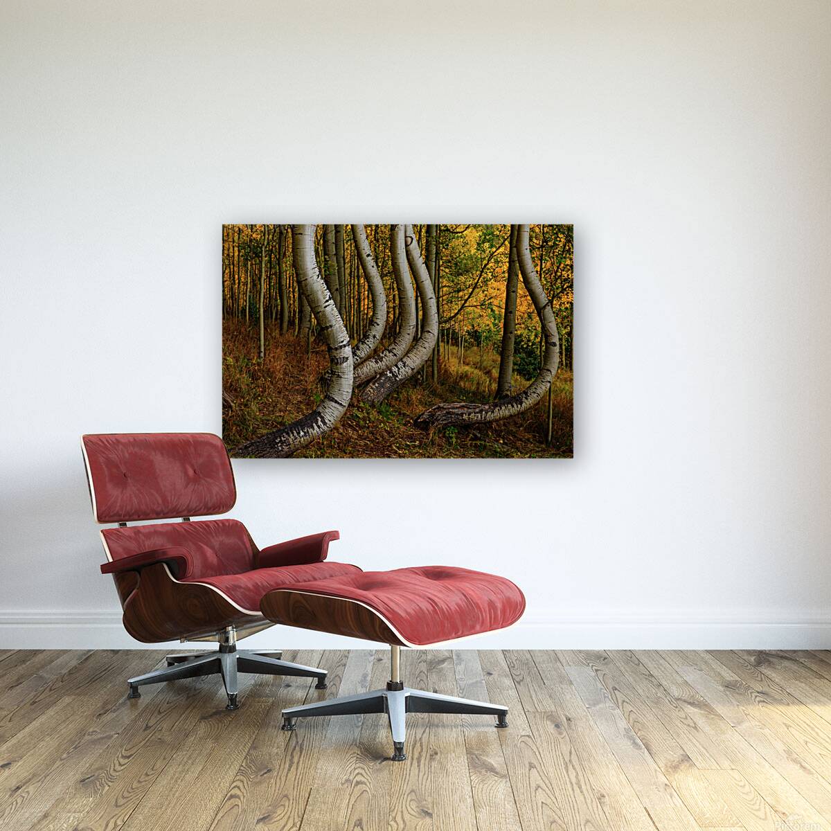 dancing aspens johnny boyd Reproduction
