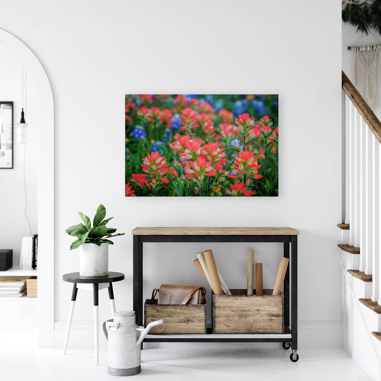 spring paintbrush johnny boyd Reproduction