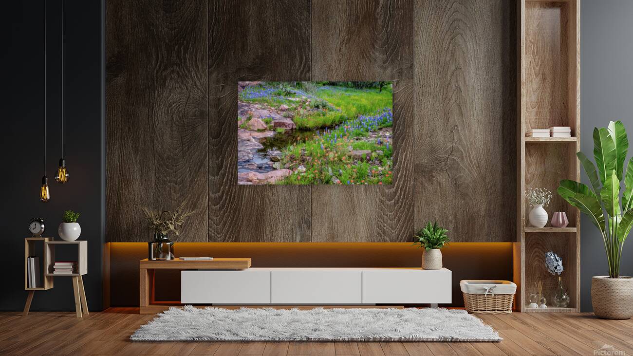 spring delight johnny boyd Reproduction