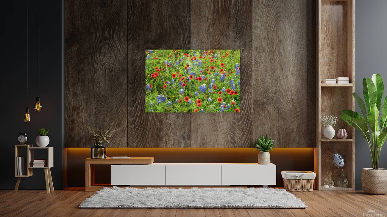 spring classic johnny boyd Reproduction