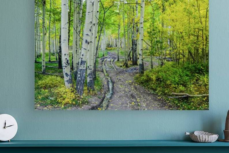 aspen road johnny boyd Reproduction