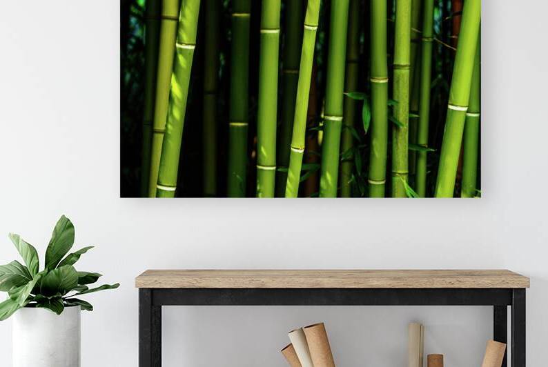 bamboo johnny boyd Reproduction