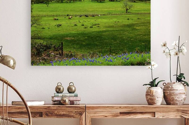 bluebonnets goats and a tree johnny boyd by Nature Imaging