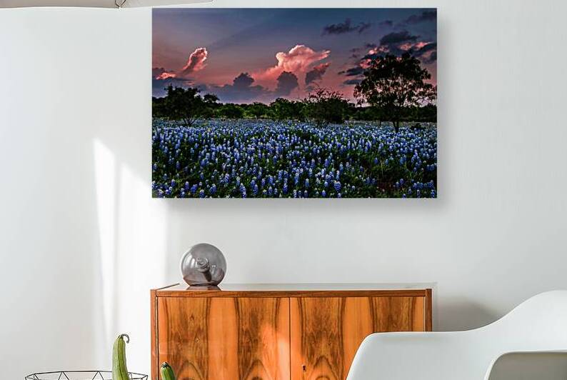 bluebonnets and storm clouds johnny boyd by Nature Imaging