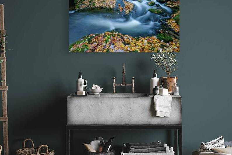fall on the prong johnny boyd by Nature Imaging