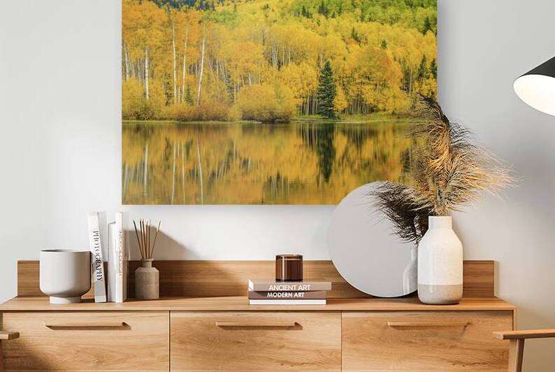 golden reflection johnny boyd Reproduction