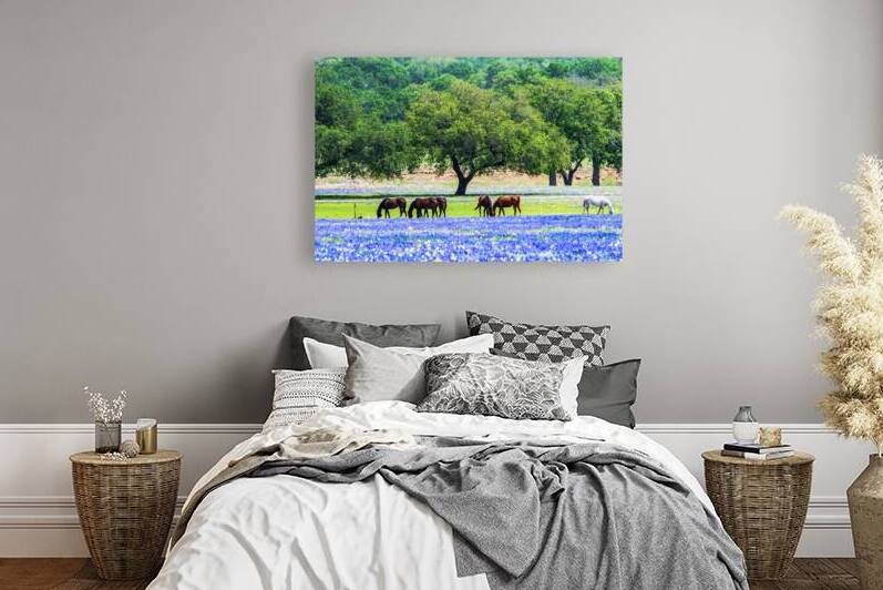 horses in bluebonnets iii johnny boyd by Nature Imaging