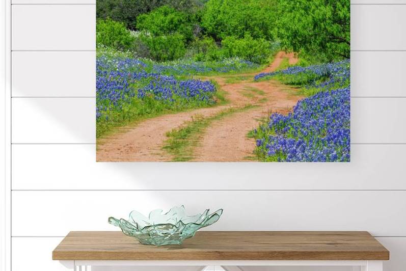road to bluebonnets johnny boyd by Nature Imaging