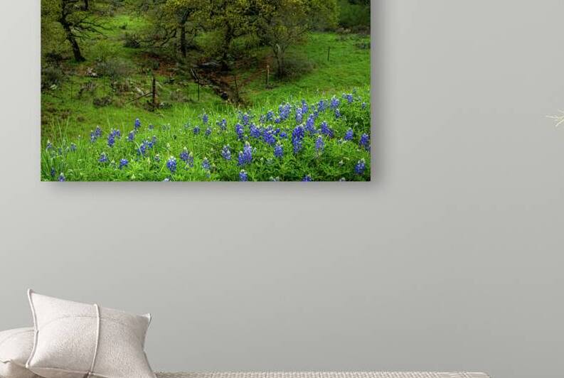 spring day blues johnny boyd Reproduction