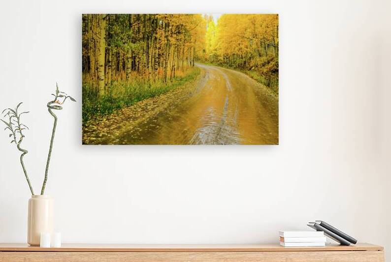 road to oz johnny boyd Reproduction