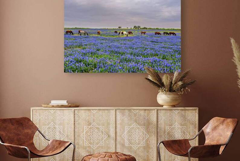 spring grazing johnny boyd Reproduction