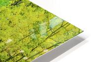 aspen road johnny boyd HD Metal print