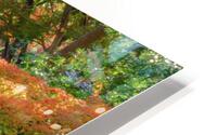 maple falls johnny boyd HD Metal print