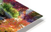 maple falls v johnny boyd HD Metal print