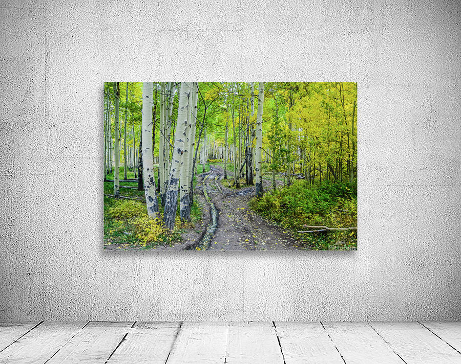 aspen road johnny boyd Wall Preview