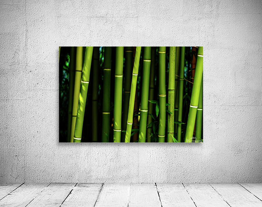 bamboo johnny boyd Wall Preview