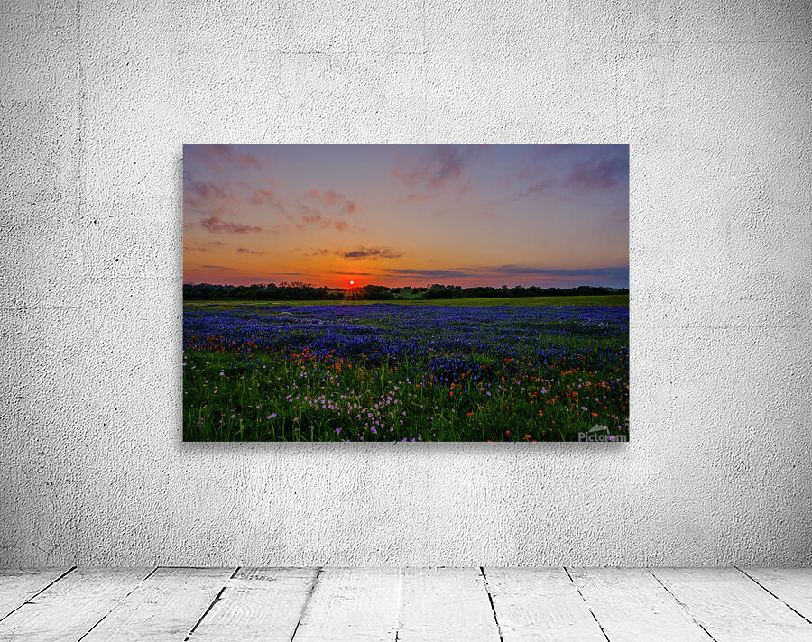 almost gone johnny boyd Wall Preview