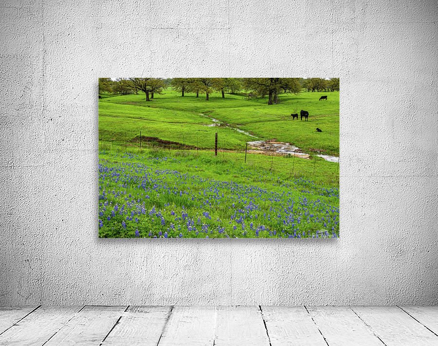 a spring graze johnny boyd Wall Preview