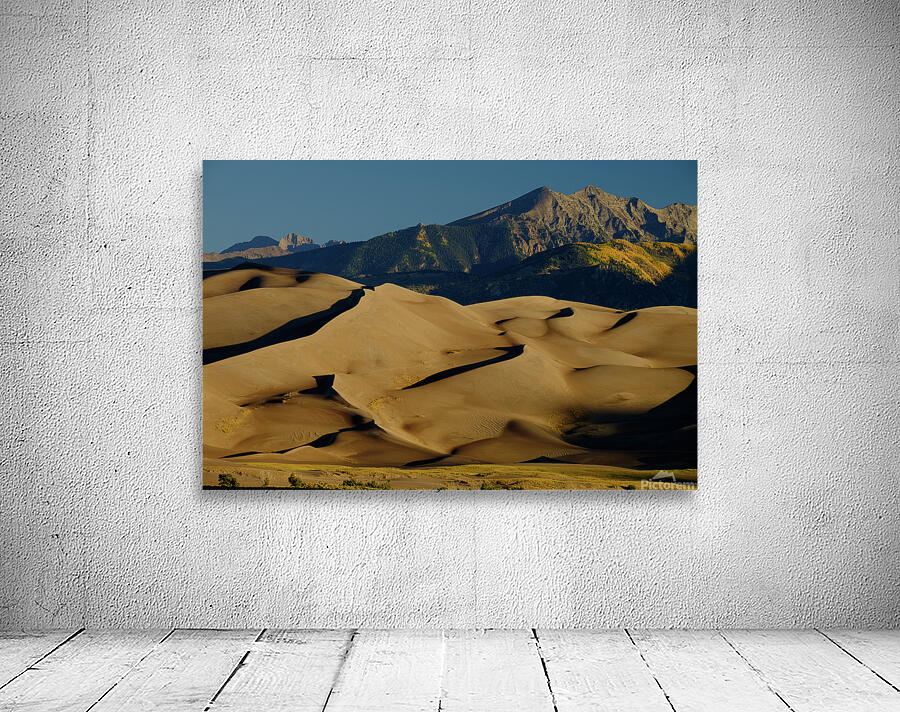 grand dunes johnny boyd Wall Preview