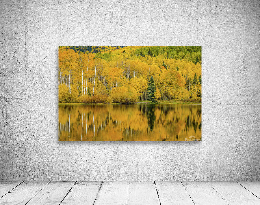 golden reflection johnny boyd Wall Preview