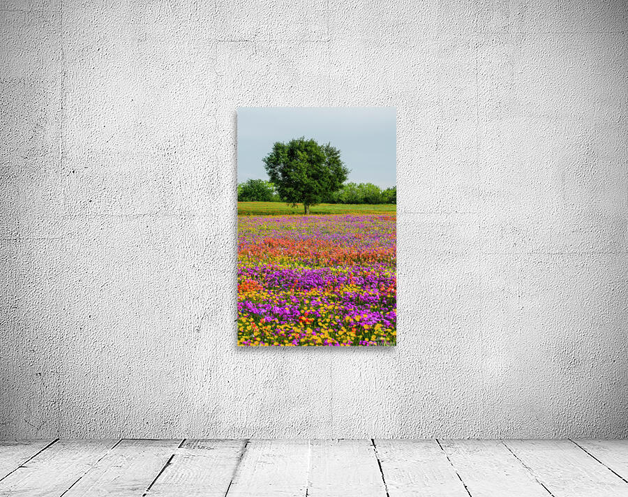 monets oak johnny boyd Wall Preview