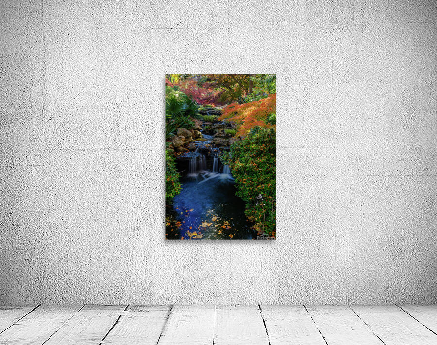 maple falls johnny boyd Wall Preview