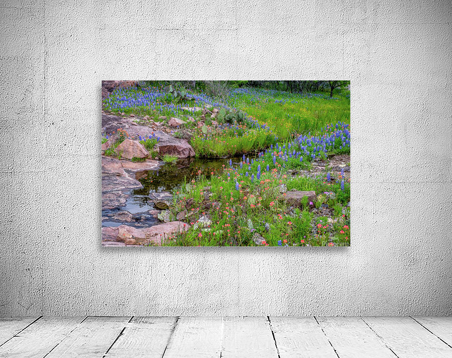 spring delight johnny boyd Wall Preview