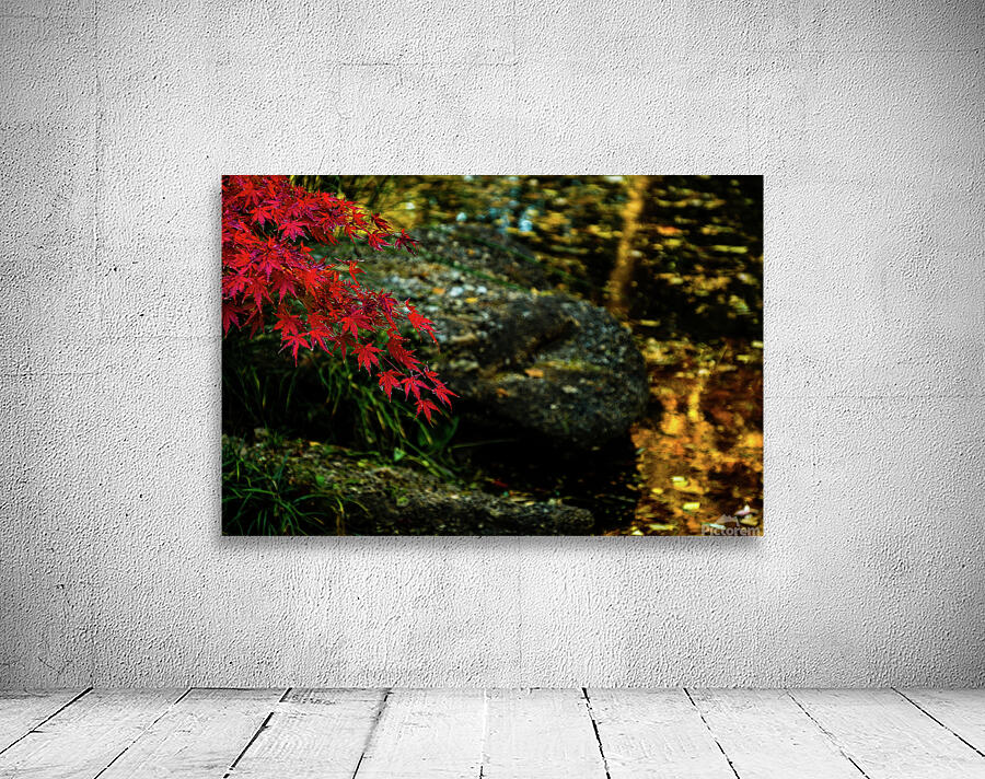 red maple limb johnny boyd Wall Preview