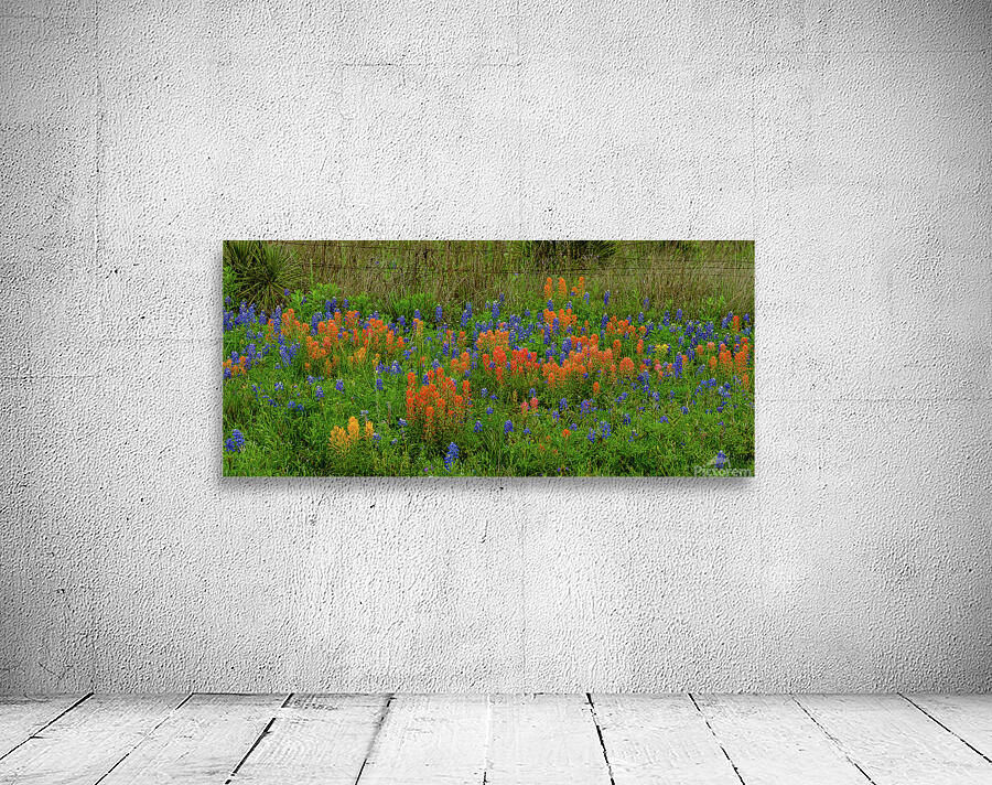 prairie spring johnny boyd Wall Preview