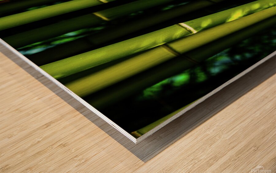 bamboo johnny boyd Wood print