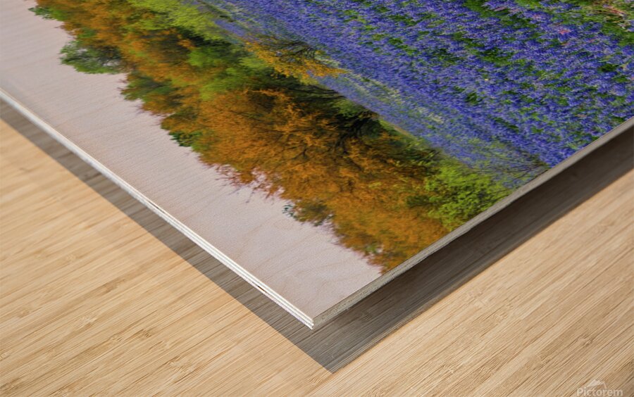 double vision 2 johnny boyd Wood print
