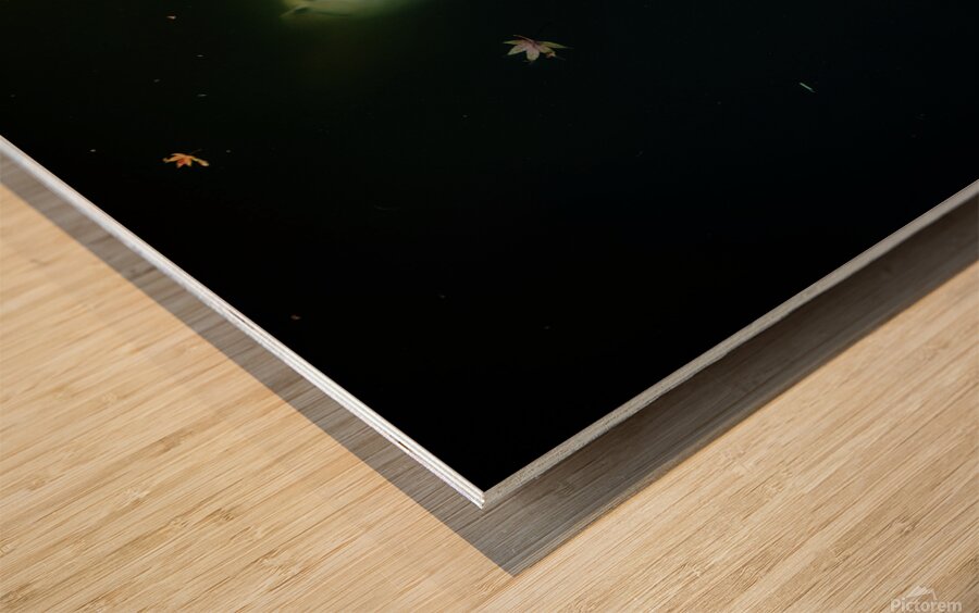 ghost koi johnny boyd Wood print