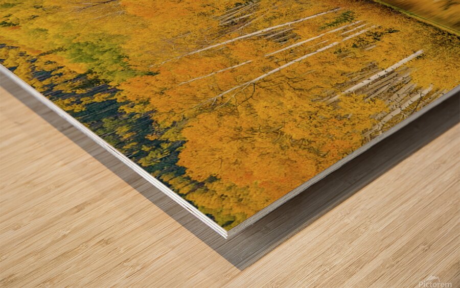 golden reflection johnny boyd Wood print