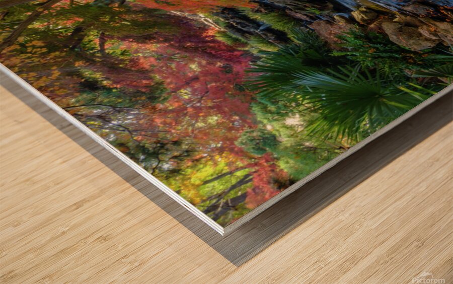 maple falls johnny boyd Wood print