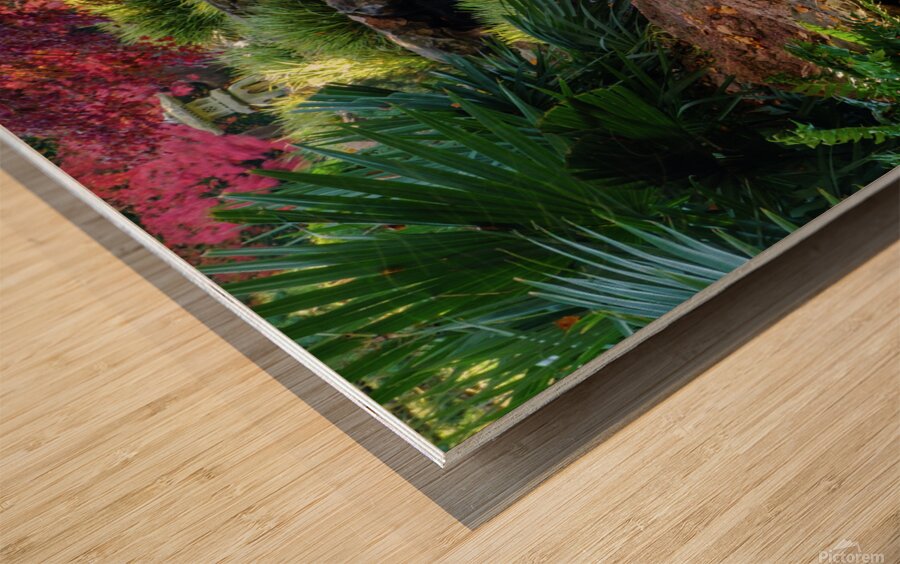 maple falls v johnny boyd Wood print