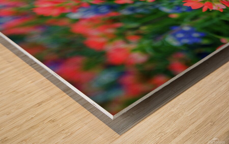spring paintbrush johnny boyd Wood print