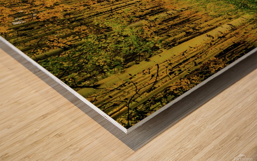 road to oz johnny boyd Wood print