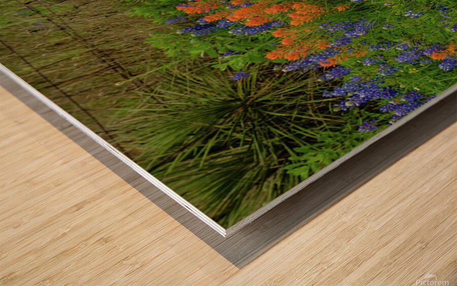 prairie spring johnny boyd Wood print
