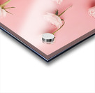 Pastel pink background 2 Acrylic print
