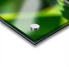Water drop close up Acrylic print